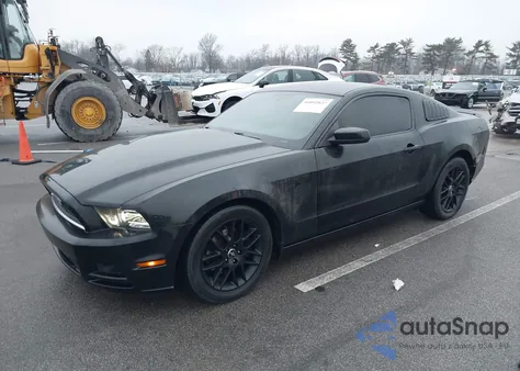 2014 Ford Mustang V6 z USA, uszkodzony, nr VIN 1ZVBP8AMXE5231175